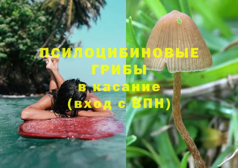 Псилоцибиновые грибы Magic Shrooms  MEGA рабочий сайт  Димитровград 